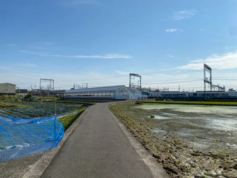 The Anime Pilgrimage Boom Is Coming for Small-Town Japan — And It Has No Idea